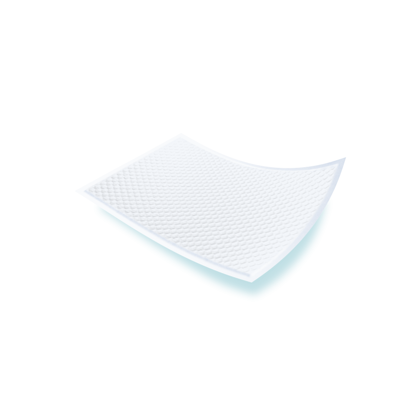 Échantillon Alèses TENA Bed Plus 80x180 cm