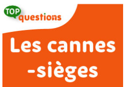 FAQ : Tout savoir sur les cannes sièges